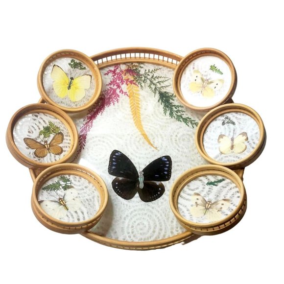 Unbranded Other - Vtg Bamboo Rattan Tray 6 Coasters Pressed Botanicals Ferns Butterflies Display D